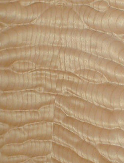 quilted maple